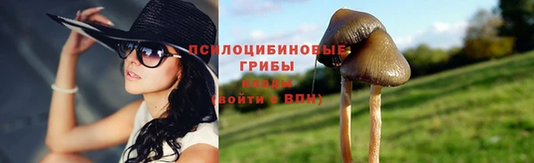 mdpv Заволжье