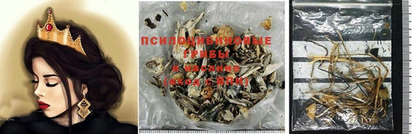 mdma Заволжск