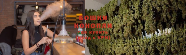 тгк Заводоуковск